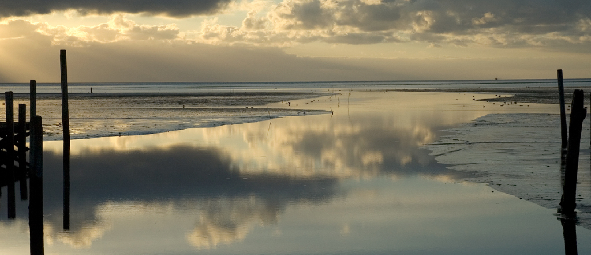 Wadden, mooi uitzicht op het water