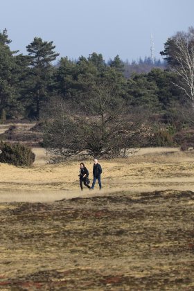 Kootwijkerzand wandelen