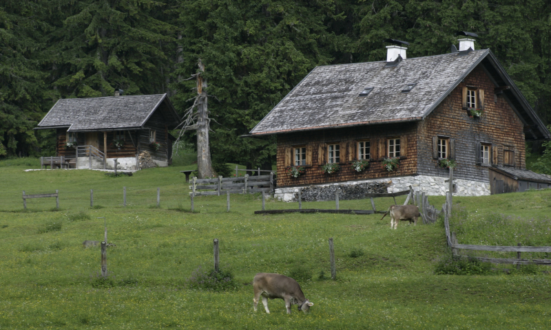 Hut in Oostenrijk