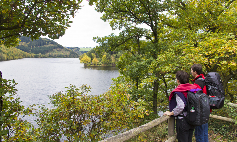 Wandelen in de Eifel Duitsland