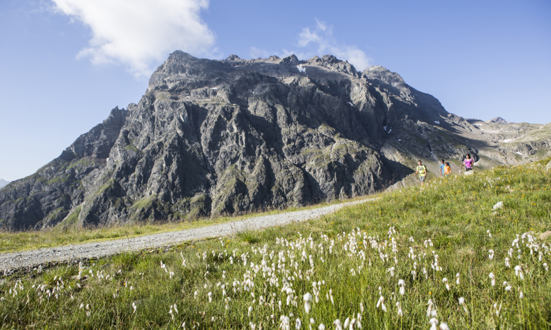 Wandelen in het Montafon 16