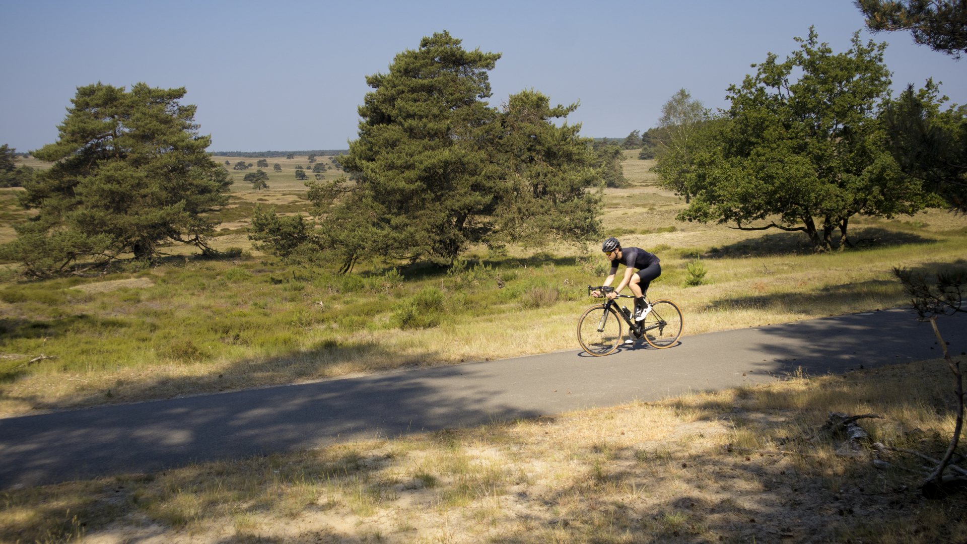 Veluwe Fietsroute