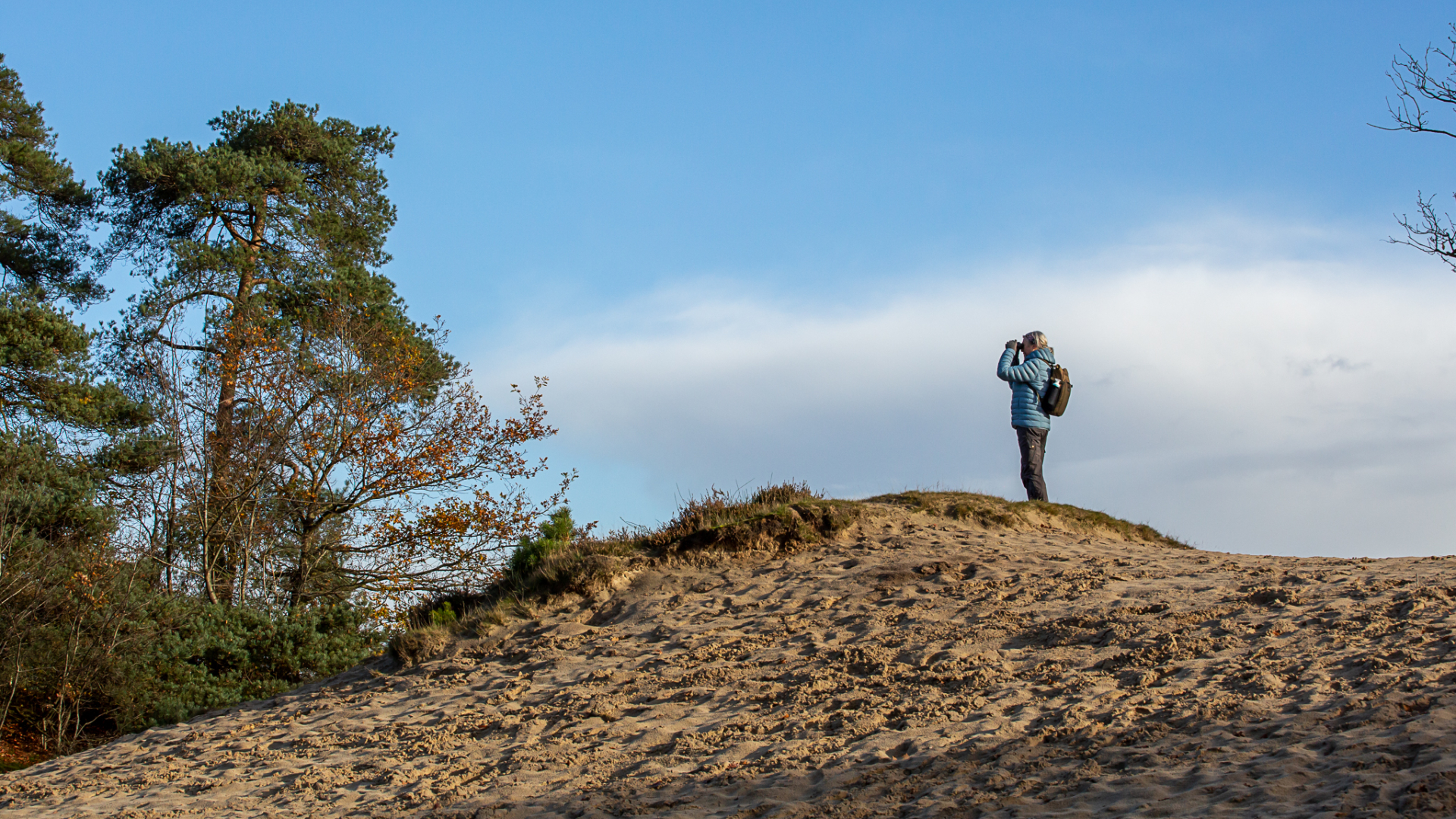 Winterwandelen Friesland