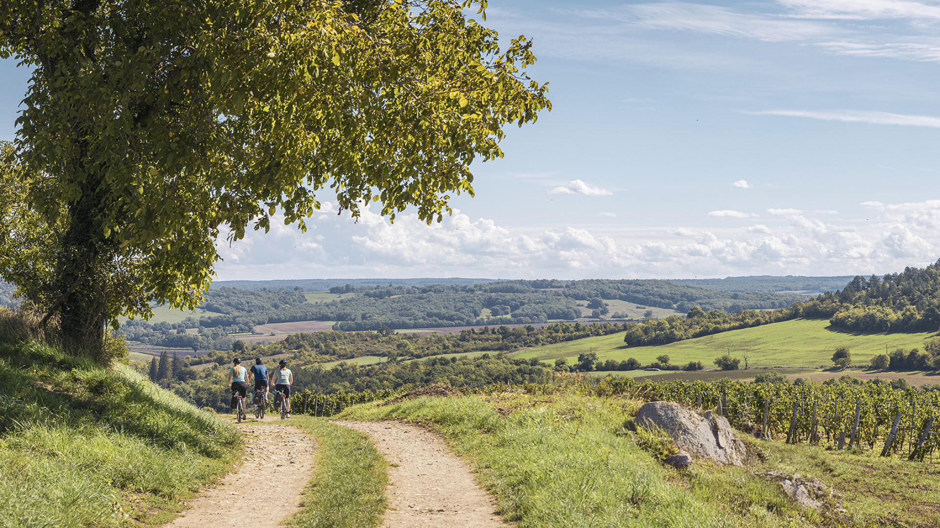 Fietsen Frankrijk Morvan Bourgogne