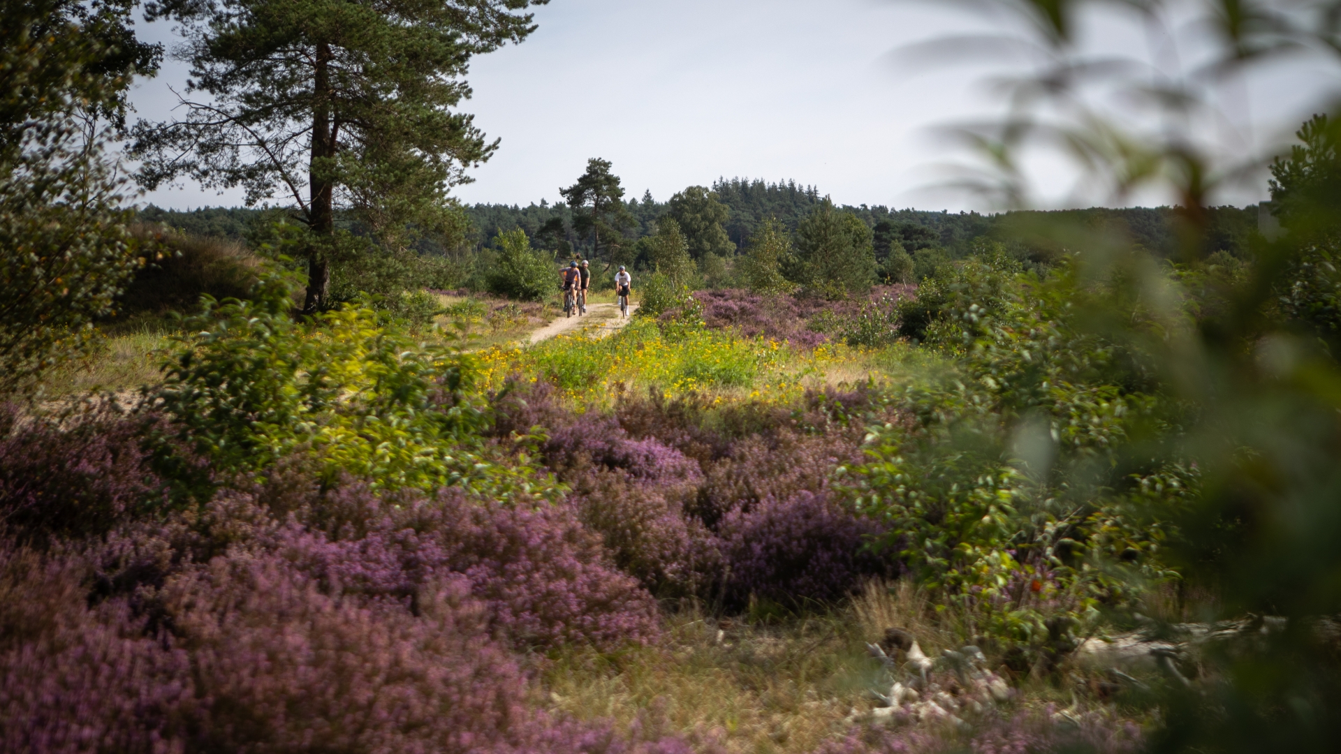 Veluwe Gravel
