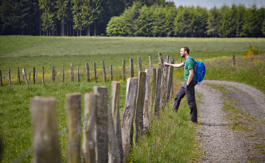 Wandelen Belgie Ardennen Transardenese Route 01