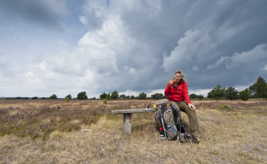 Lüneburger heide Wandel pauze