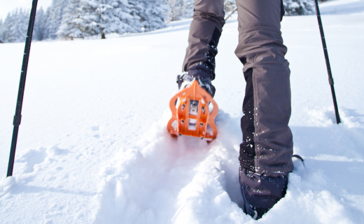 Sneeuwschoenwandelaar