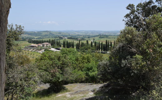Toscane, uitzicht op de wijngaarden
