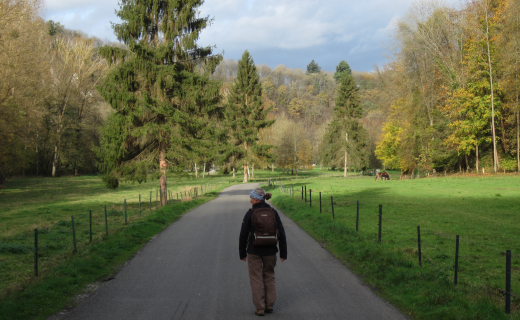 Nederland en België, vrouw loopt in de natuur in Kempen