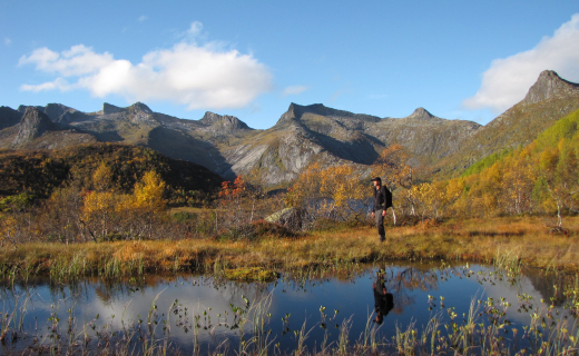 Noorwegen, man loopt door de natuur