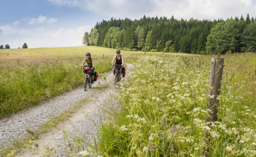 Fietsroute Šumava Magistrala door Boheemse Woud
