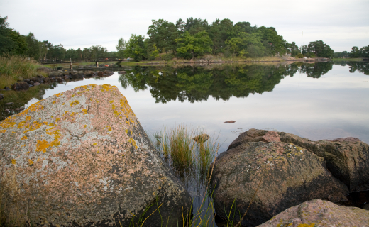 Zweden, how to tegen muggen