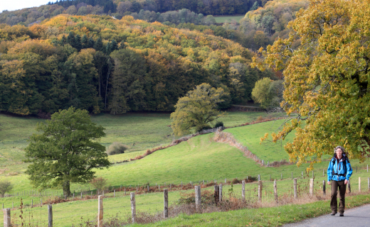 Wandelen Frankrijk Morvan