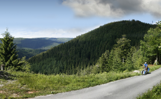 Fietsen in Zuid Duitsland Scwarzwald Radweg