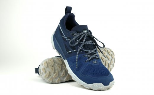 Mammut Saentis Low GTX