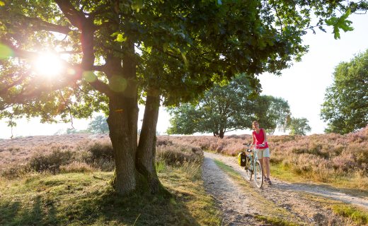 Fietserpad fietsen langs het Pieterpad