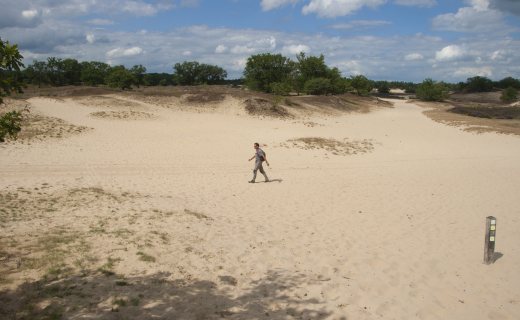 De Brand & Drunense Duinen