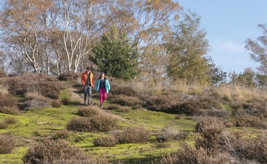 Edelherttrail Traject 3 Maas