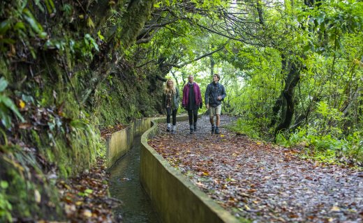 wandelroutes-madeira-oppad
