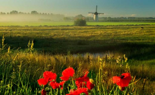 workshop-landschapsfotografie