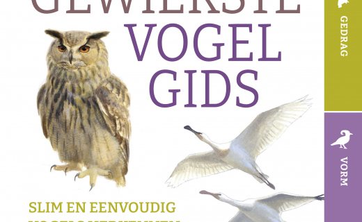 De gewiekste vogelgids
