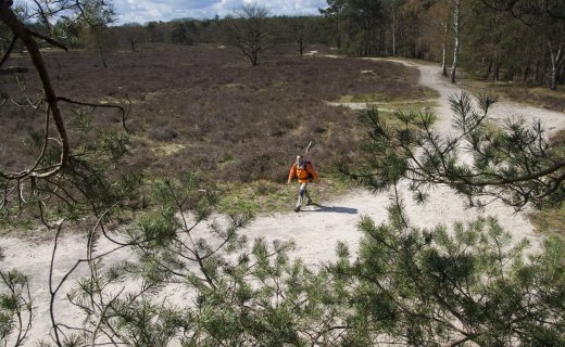 HeuvelrugHike wandelroute Utrechtse Heuvelrug
