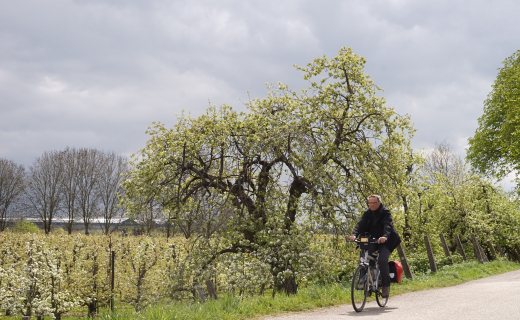 Fietserpad fietsroute