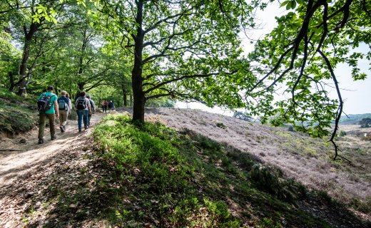 Cursussen shop training