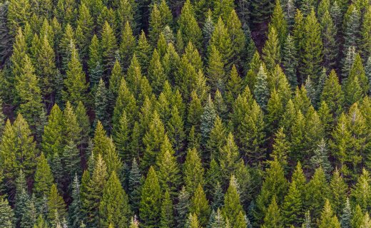 Cursussen shop natuur