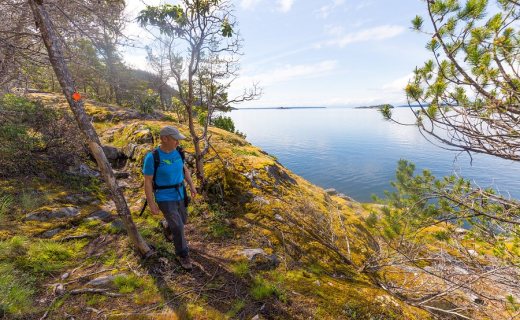 Sunshine coast trail - wandelaar
