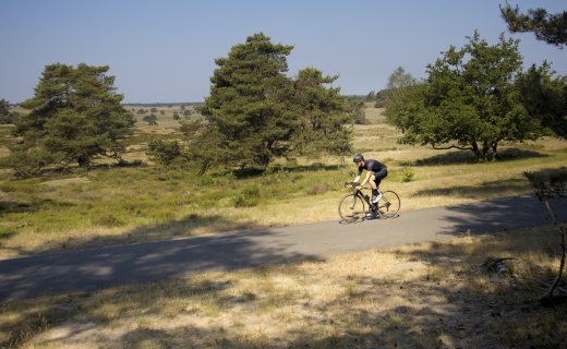 Veluwe Fietsroute