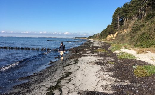 Denemarken wandelen