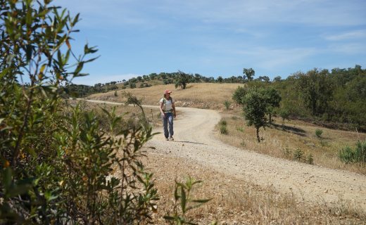 Wandelen Algarve