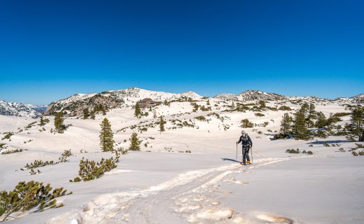 onderweg op het plateau