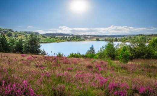 Nationaal Park Hoge Kempen