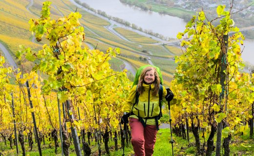 Moselsteig wandelroute