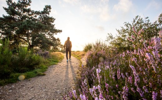 Wandelen Vlaanderen