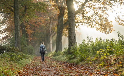 Kloosterwandelingen Brabant