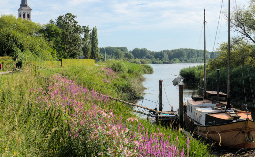 Sint-Amands aan de Schelde