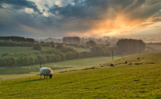 Fietsen Lincolnshire