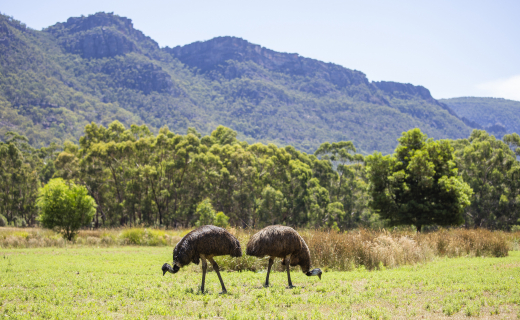 Australie Grampians