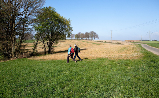 LR-2.wandelen-Clervaux-Munshausen-Clervaux-006
