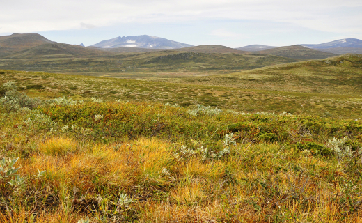 lkdfl;akdjfkl;jfl;akdfjkl;