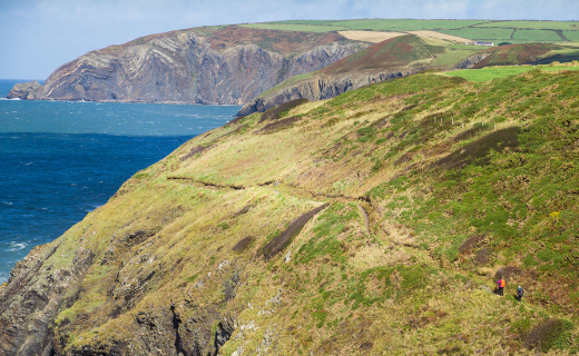 Tussen St. Dogmael en Newport, een wilde etappe langs hoge kliffen van een zeer oud gesteente. De plooiingen mooi zichtbaar.