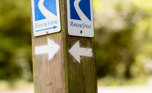 Rheinsteig-4