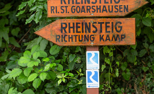 Rheinsteig-7