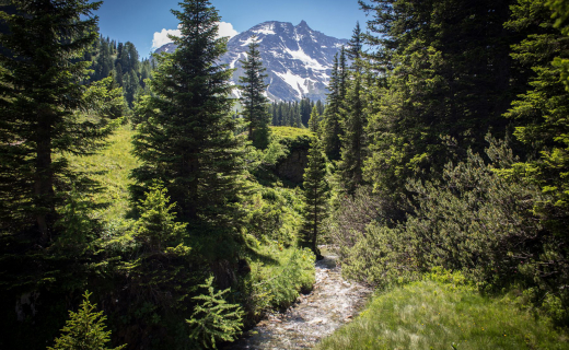 Wandelen in de Hohe Tauern, Salzbur07