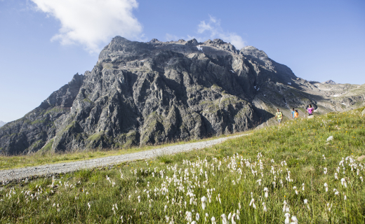 Wandelen in het Montafon 16