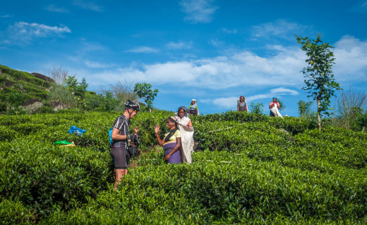 Fietsreis Sri Lanka